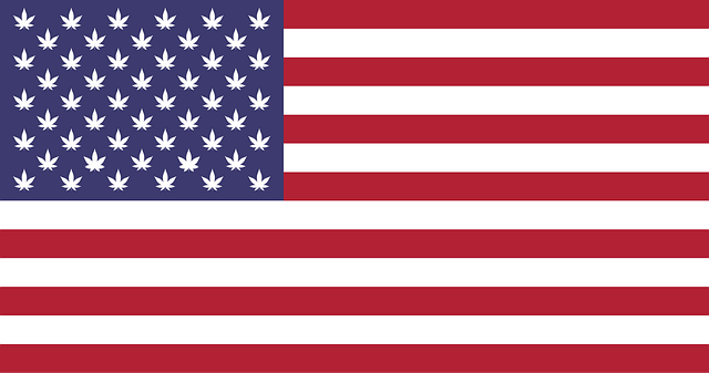 Hemp