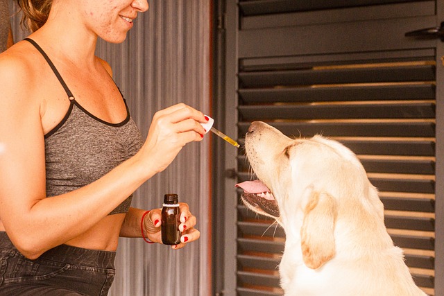 Experience Calm, Sleep Better: Canabzy’s THC-Infused CBD Tincture Drops – Get a Free Sample Today!