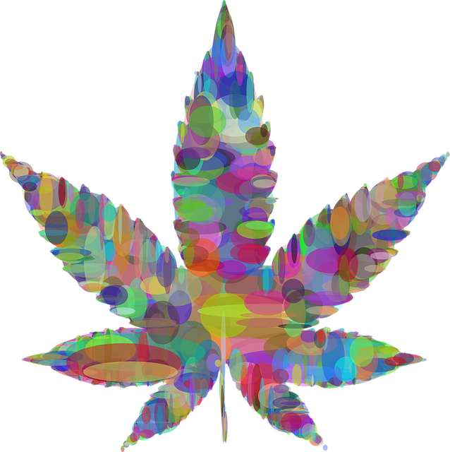 Cook Up Joy: Hemp Seeds for Natural Happiness (No THC Gimmicks)