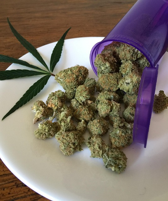 Hemp Flower